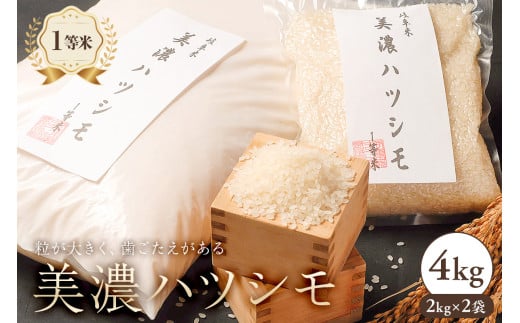 美濃ハツシモ　１等米４kg（２kg×２袋） 【米 白米 ごはん 自家精米 歯ごたえ あっさり】