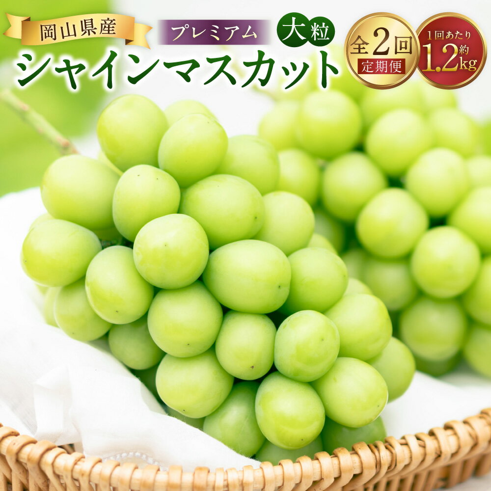 【ふるさと納税】【2回定期便】プレミアム大粒・大房 シャインマスカット 1回あたり2房（1.2kg以上） マスカット ぶどう ブドウ 葡萄 くだもの 果物 果実 フルーツ 冷蔵 岡山県産 国産 岡山県 美咲町 送料無料 【2026年8月上旬から順次発送予定】