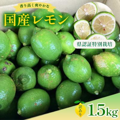 ふるさと納税 水俣市 国産レモン 訳あり1.5kg(県認証特別栽培)