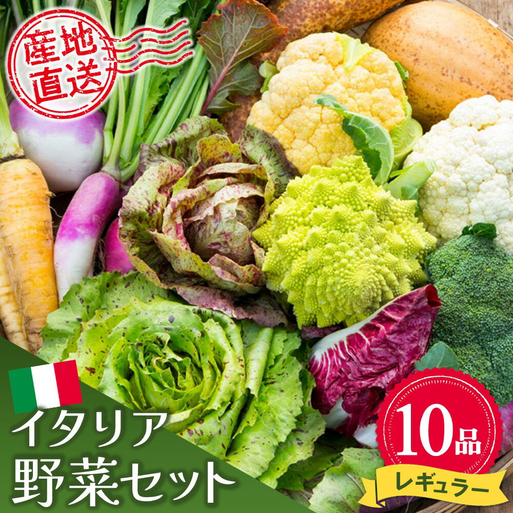 【ふるさと納税】イタリア野菜セットレギュラー 10品 【有機野菜 おまかせ野菜セット イタリア野菜 西洋野菜】(H078148)