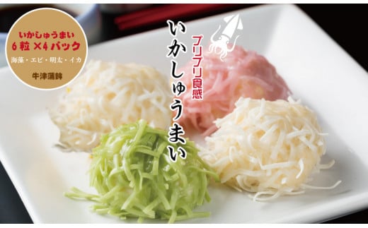 いかしゅうまい（4パック×6個入り） 佐賀名物イカ 焼売