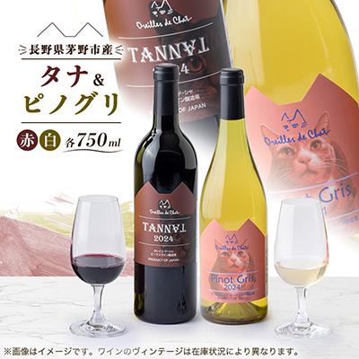 ふるさと納税 茅野市 タナ(赤)&amp;ピノグリ(白)2本セット