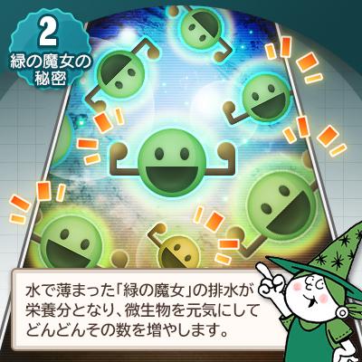 ふるさと納税 龍ケ崎市 ふるさと納税専門誌掲載品　一石二鳥　次世代型環境配慮型洗剤 緑の魔女キッチン5L×1　沖縄等配送可 |  | 02