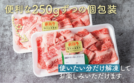 飛騨牛 切り落としスライス 1kg 250g×4 牛肉 切り落とし 飛騨市 [EN004]