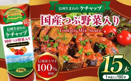 
            信州生まれのケチャップ国産つぶ野菜入り190g×15本セット | ふるさと納税 トマト ケチャップ 食料  人気 料理  長野県 松本市  栄養
          