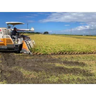 ふるさと納税 能美市 【令和7年産】石川県産にこまる米　白米10kg×1袋 |  | 02