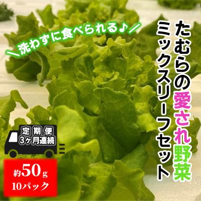 ふるさと納税 東吾妻町 【定期便 3ヶ月連続】洗わずに食べられる!ミックスリーフ[No.5819-0299]