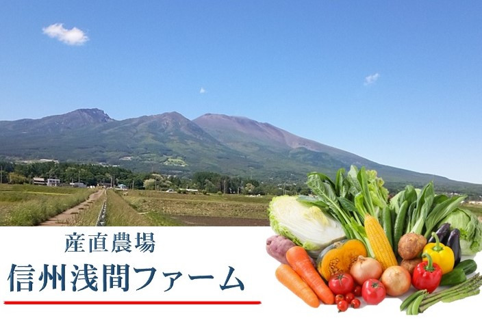 
            さつまいも 約10kg 食べ比べ [№5915-1039]
          