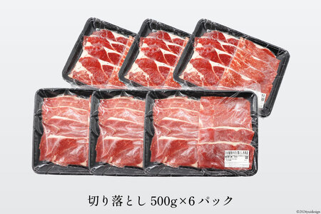 牛肉 九州産 和牛 切り落とし 3kg 500g×6p [日本ハムマーケティング 宮崎県 日向市 452060789] 冷凍 小分け 個包装 牛 すき焼き もも肉 モモ肉 牛バラ 牛肩