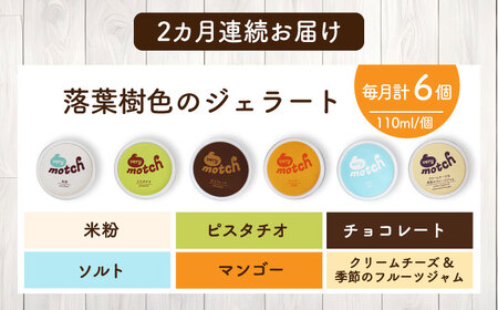 【全2回定期便】落葉樹色のジェラート6種セット 【株式会社クーバル】 アイス セット アソート 米粉 スイーツ ギフト 北海道  [AXBQ008]