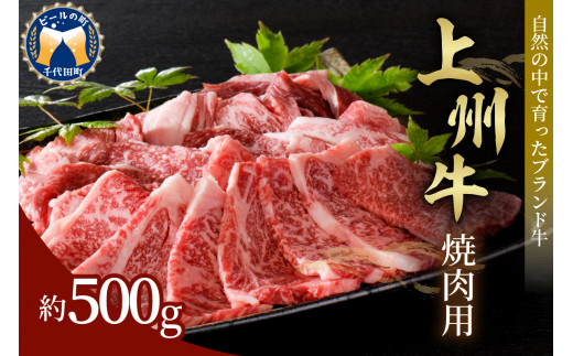 
牛肉 焼肉 用 【上州牛】 肩ロース 500g 群馬県 産 千代田町 ブランド牛 バーベキュー BBQ 食品 冷凍 グルメ キャンプ ソロキャン アウトドア 送料無料 お取り寄せ ギフト 贈り物 贈答用 プレゼント
