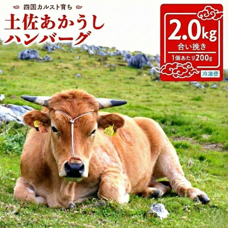 【ふるさと納税】 幻の和牛 土佐あかうし ハンバーグ 2kg 200g x 10個 冷凍 四万十ポーク 合い挽き 黒毛和牛 牛肉 豚肉 玉ねぎ 玉葱 個包装 人気 神戸牛 松阪牛 近江牛 より数が少ない 国産和牛 一万円 10000円 1万円 赤牛ハンバーグ あか牛ハンバーグ 高知県 須崎市
