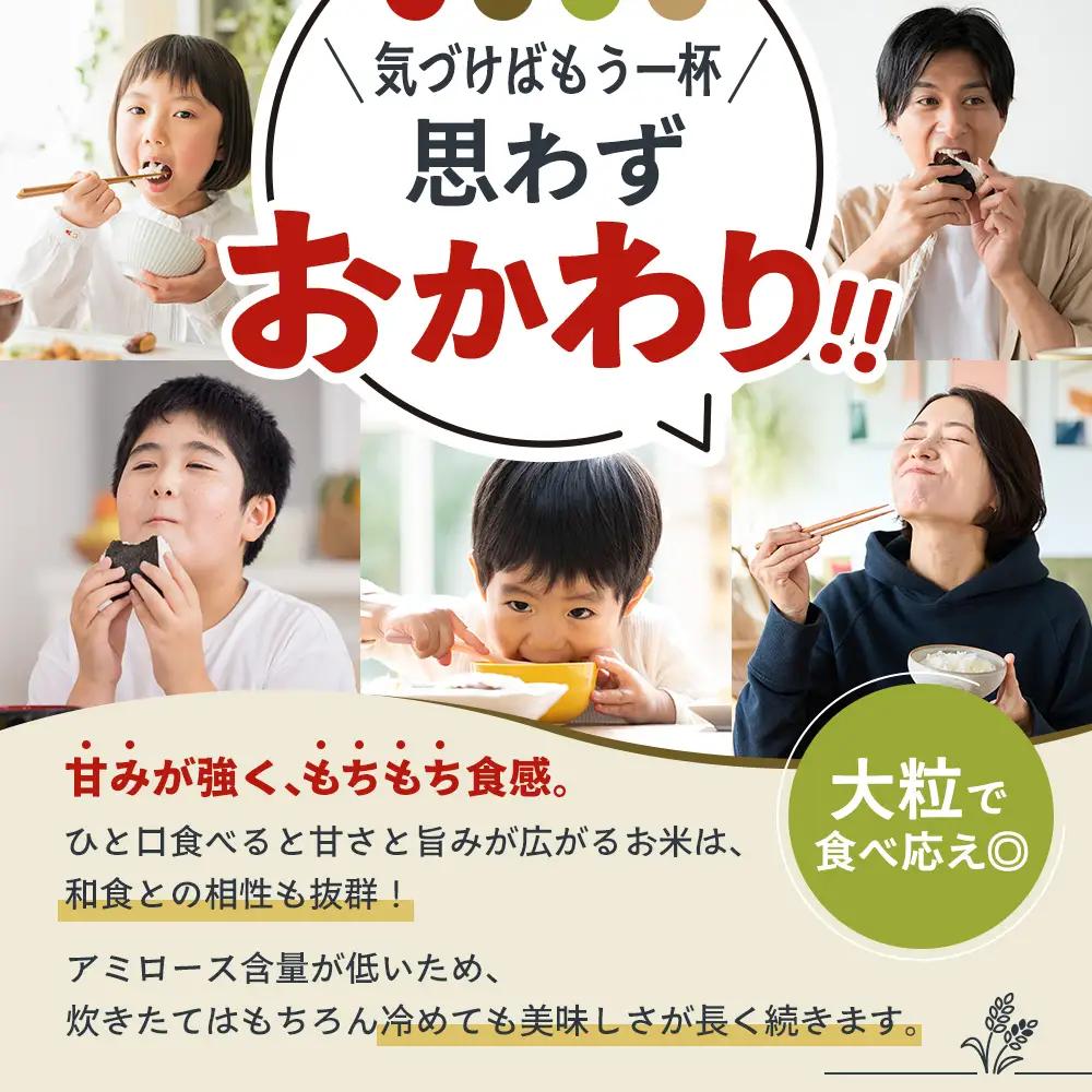 米 令和8年産 先行受付 しきゆたか 白米 5kg《2026年11月発送》 お米 精米 単一原料米 お弁当 おにぎり 冷めても美味しい 農業支援 就労者支援 日用品