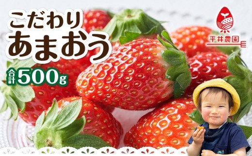 
                  こだわりあまおう 250g×2パック（合計500g）｜2026年12月～順次発送＜ひらい観光農園 いちご イチゴ 苺 旬 期間限定 数量限定 デザート フルーツ 福岡県 八女市
                