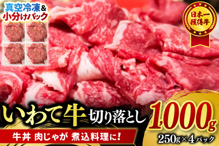切り落とし 肉 牛肉 小分け 真空冷凍 いわて牛 1,000g 岩手県産 和牛 牛肉 黒毛 和牛 切り落とし肉 大容量 肉 すき焼き 肉じゃが 煮込み 煮物 赤身 国産牛 小分け 冷凍 数量限定 (AB107)
