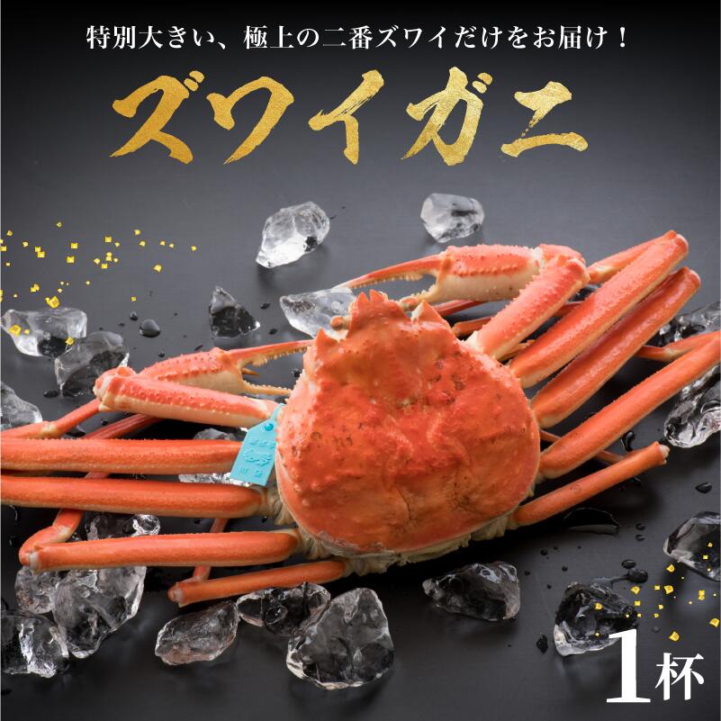 【ふるさと納税】 【 姫丸 の 二番 ズワイガニ 】 11 - 12月 配送 1 - 3月 配送 2番ズワイ 茹で上げ後 約 900g × 1杯