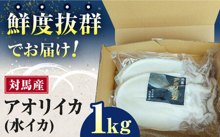 対馬産 アオリイカ 1kg 海鮮 魚介 いか イカ 刺身  [WAA029] アオリイカ烏賊
