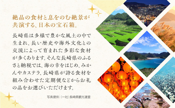野菜 野菜セット やさい ヤサイ 新鮮 旬 果物 くだもの フルーツ 長崎