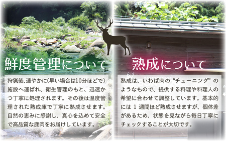 ジビエフランク (鹿) 3本 約195g 福井県美浜町産 ジビエ100% 鹿肉 [m77-a005]