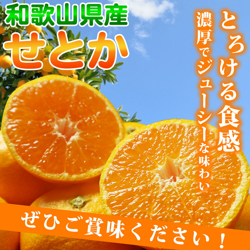 G7060_とろける食感！ジューシー柑橘 せとか 5kg 【家庭用 訳あり】