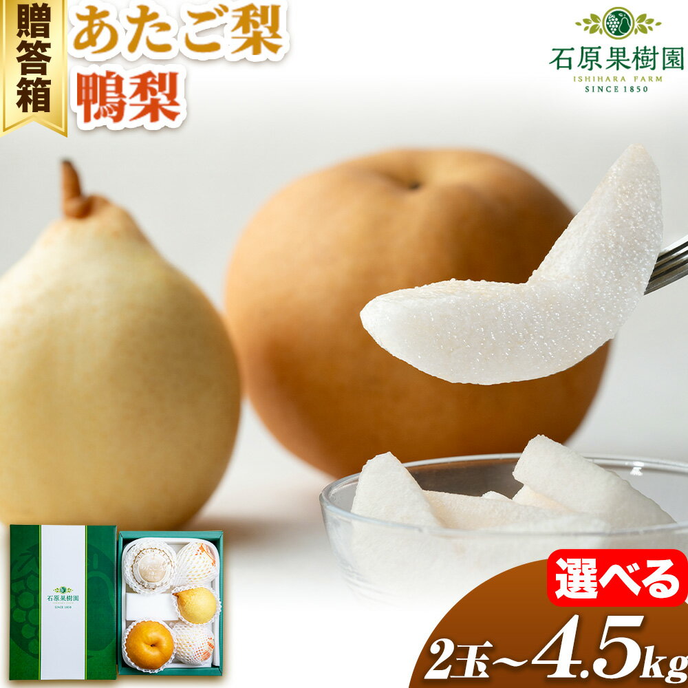 【ふるさと納税】【先行予約】梨 なし 梨 旬 あたご梨 鴨梨 選べる内容量 贈答箱 石原果樹園 《2026年11月中旬-12月下旬頃より発送予定》岡山県 浅口市 果物 フルーツ 梨 詰め合わせ 贈答用