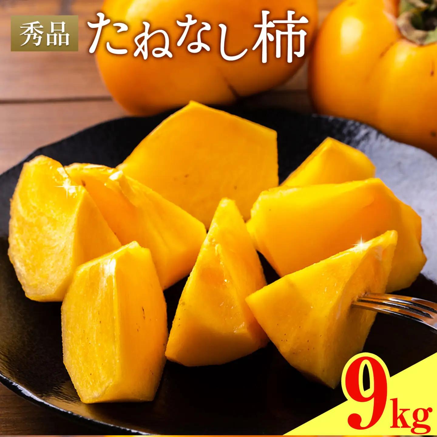 たねなし柿 秀品 9kg 農業福祉研究機構《9月上旬-11月上旬頃出荷》