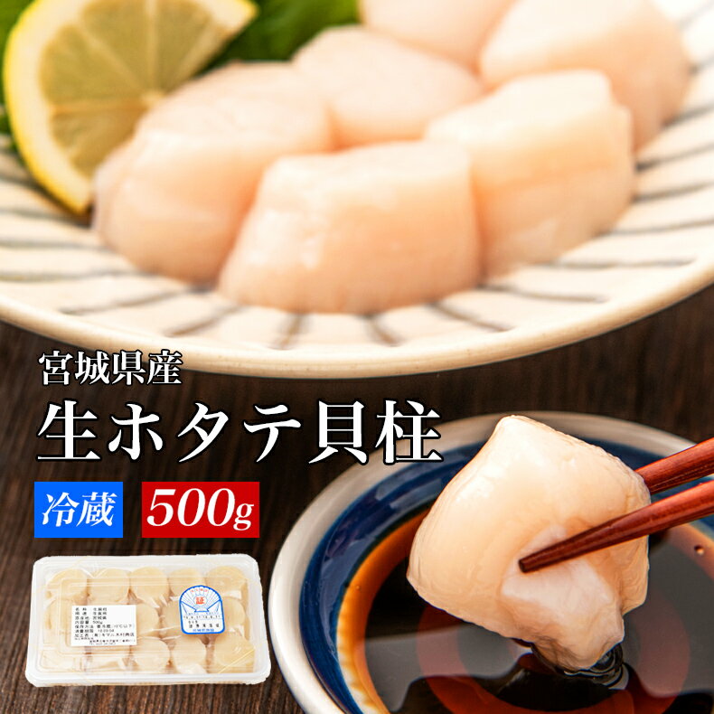 【ふるさと納税】帆立 宮城県産 生食用 生ホタテ貝柱 500g（約15個～18個入り） 冷蔵 ホタテ 刺身 ほたて 生ほたて 貝柱 貝 魚介 海鮮 宮城県 石巻市 宮城 石巻