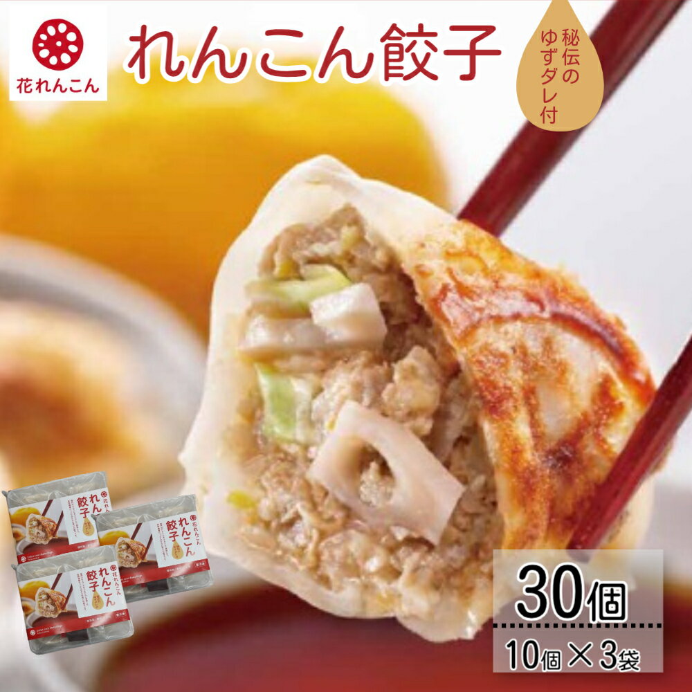 【ふるさと納税】秘伝のゆずダレ付 鳴門れんこん餃子 200g（20g×10個）×3袋 | 花れんこん 蓮根 レンコン 徳島 ハンバーグ レトルト おかず 惣菜 総菜
