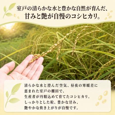 ふるさと納税 室戸市 【指定日配送OK!】令和8年産とれたて新米コシヒカリ5kg |  | 01