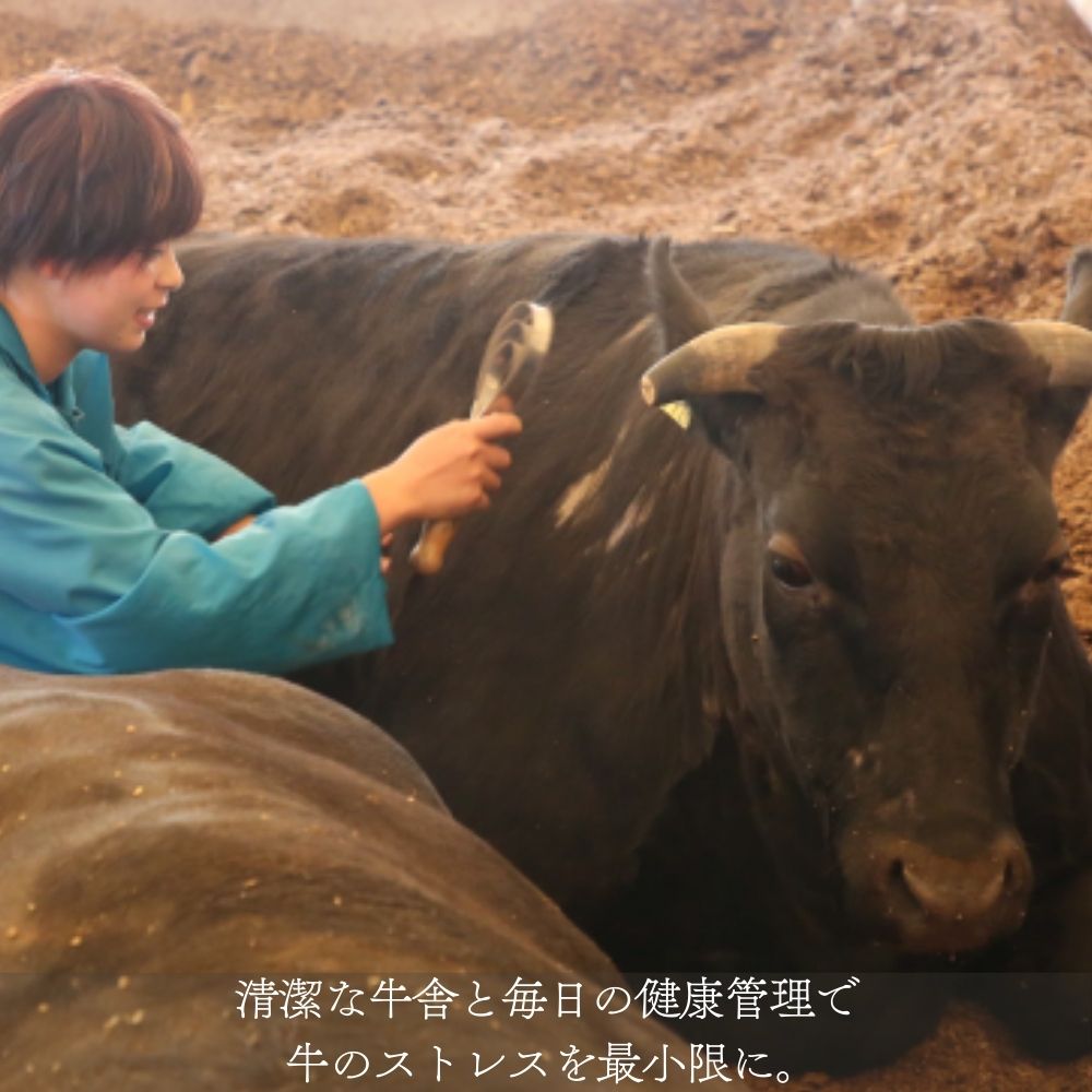 【伊勢水沢（すいざわ）牛】サーロインステーキ 900g（180g×5枚）三重県産 黒毛和牛　三重畜産 │牛肉 和牛 ステーキ肉 国産 冷凍 A4 A5 等級 霜降り 厚切り BBQ 三重県 四日市市_