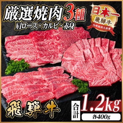 【ふるさと納税】飛騨牛　厳選焼肉3種(肩ロース・カルビ・赤身)　計1.2kg(各400g)　黒毛和牛　小分け【配送不可地域：離島】【1669123】