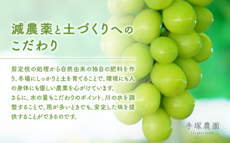 【2025年分発送】 ご家庭用 訳あり シャインマスカット 粒 1㎏ 減農薬 先行予約 先行 予約 山梨県産 国産 産地直送 人気 おすすめ 贈答 ギフト お取り寄せ フルーツ 果物 くだもの ぶどう