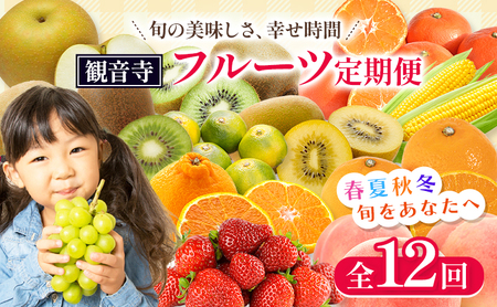 フルーツ 定期便 年 12回 香川県産 香緑 さぬきひめ 国産 キウイ 苺 いちご せとか デコポン スイートコーン とうもろこし 桃 幸水梨 梨 シャインマスカット ぶどう ゆら早生 みかん さぬきゴールドキウイ 柑橘 定期 貯蔵デコポン 幸水 香川県 観音寺市