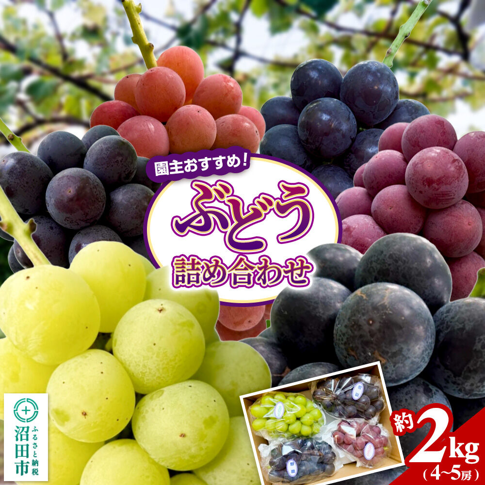 【ふるさと納税】園主おすすめ！ ぶどう詰め合わせ 約2kg（4〜5房）群馬県 沼田市 やまいしぶどう園 群馬県ぶどう品評会群馬県知事賞受賞 [ぶどう 大粒 フルーツ 果物 美味 おいしい 葡萄 ブドウ 巨峰 食べ比べ]