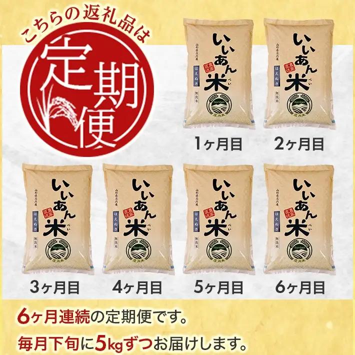 SG0144　【6回定期便】無洗米はえぬき　5kg×6回(計30kg)　農家直送『いいあん米』AG