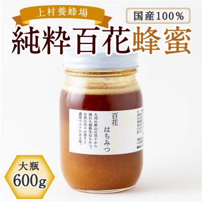 ふるさと納税 うきは市 上村養蜂場 国産100%純粋百花蜂蜜 大瓶 600g