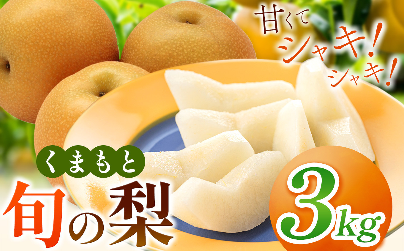 
くまもと 旬の 梨 約 3kg | フルーツ 果物 くだもの なし ナシ 梨 旬 熊本県 玉名市
