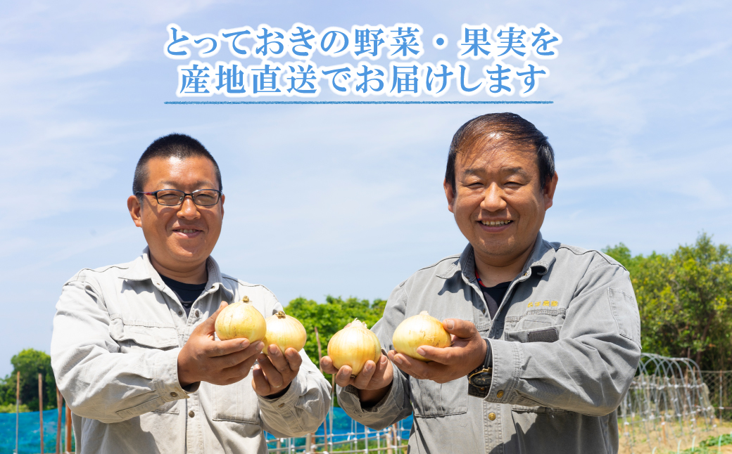名手農園の淡路島特産季節の農園セット【淡路島産玉ねぎ5kgと季節のみかん3kg】