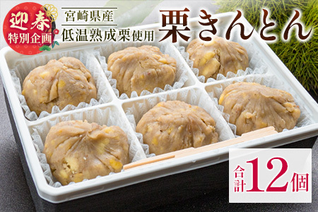 [迎春特別企画]栗きんとん 6個入り 2セット ※2025年12月28日出荷【N82】