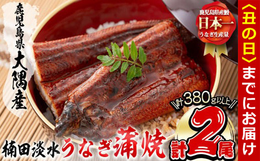 【丑の日までに配送】楠田の極うなぎ蒲焼き190g以上×2尾(計380g以上) 山椒付たれ 鰻 ウナギ 蒲焼 うな重 ひつまぶし 鹿児島 冷凍 おかず お祝い a7-021-us