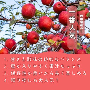 秋田県産 りんご ふじ 3kg 最高の甘味と香り 産地直送【BARUバイオジャパン吉村(株)】[B1-9904]