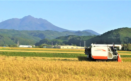 はれわたり 白米 特A 令和8年産 山下農園 青森県産 はれわたり【5kg】