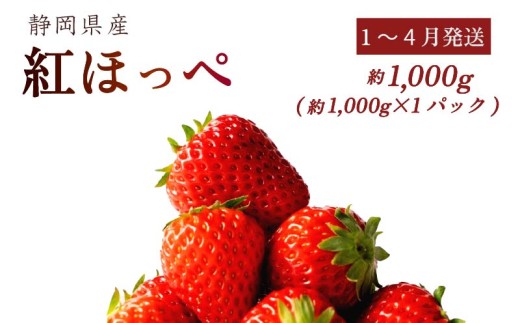 【1~4月発送】 紅ほっぺ 1000g以上 いちご 1000g×1パック イチゴ 冷蔵発送 苺 1kg 土耕栽培 フルーツ 果物 スイーツ デザート朝摘み ストロベリー おやつ 完熟 直送 ギフト 家庭用 贈答用 贈答 ギフト 贈り物 甘い ブランド ジャム アレンジ フルーツサンド 農家直送 ベリー 産地直送 国産 おすすめ 森木農園 静岡県 牧之原市 ~土耕栽培だから濃くて甘い!~