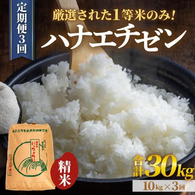 【令和8年産】【一等米】＜定期便3回＞ ハナエチゼン 精米 10kg × 3回（30kg）《発送直前精米！》 ／ 福井県産 ブランド米 ご飯 白米 お米 コメ 新鮮 大賞 受賞 新米 [aw012-d009]