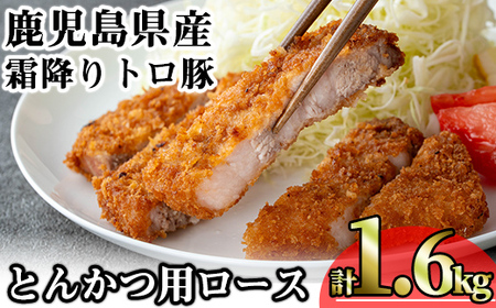 鹿児島県産 豚肉 霜降り トロ豚 とんかつ ロース(計1.6kg・200g×8枚)【KNOT】 A572