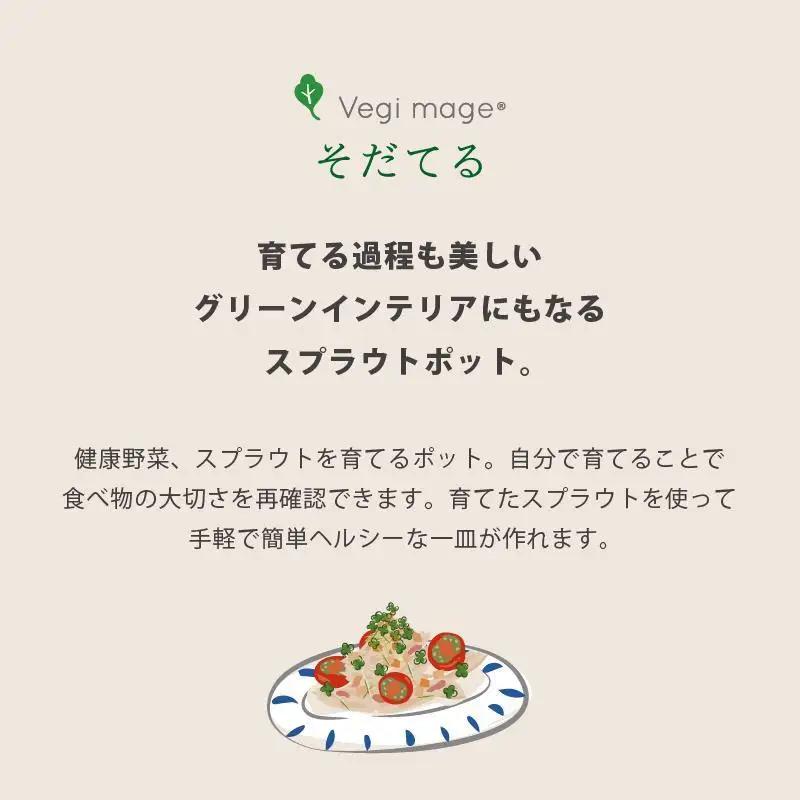 【アイボリー】ベジマジそだてる スプラウト栽培容器 種付き 水耕栽培 おしゃれ 家庭菜園