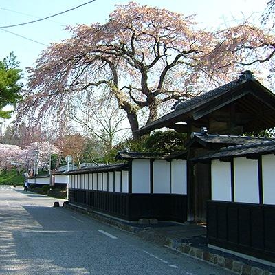 ふるさと納税 登米市 あぶら麸 2本入り6ヶ箱詰め |  | 03