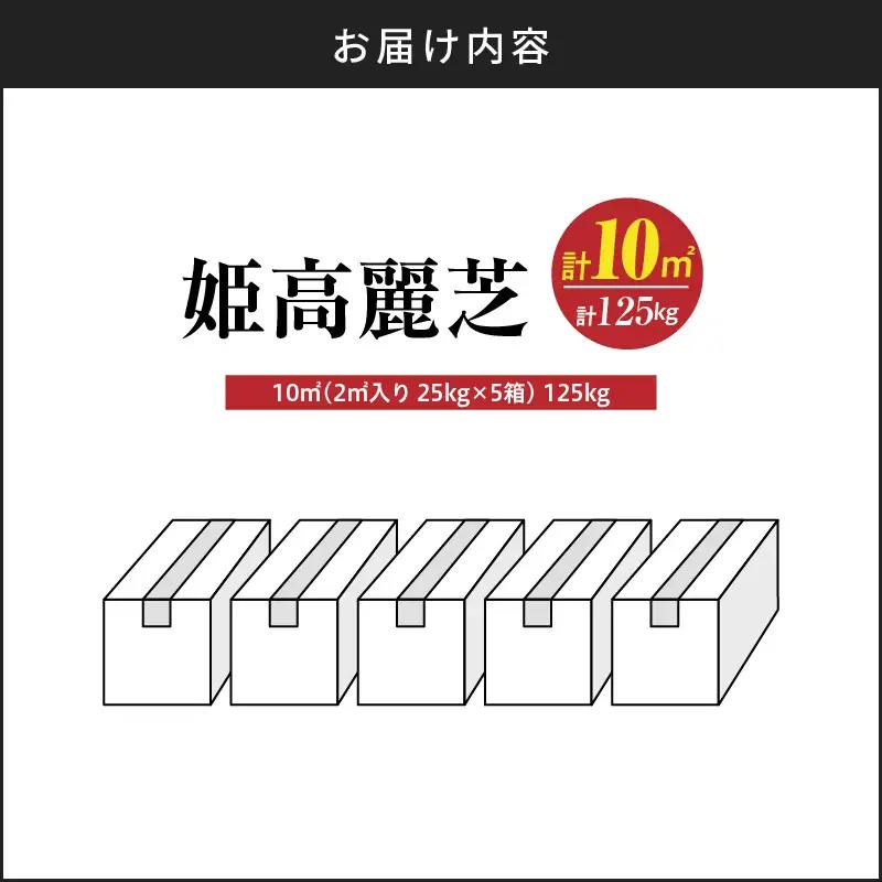 【10月から5月に発送】 姫高麗芝（10平方メートル） KN177-004-02 庭 芝生