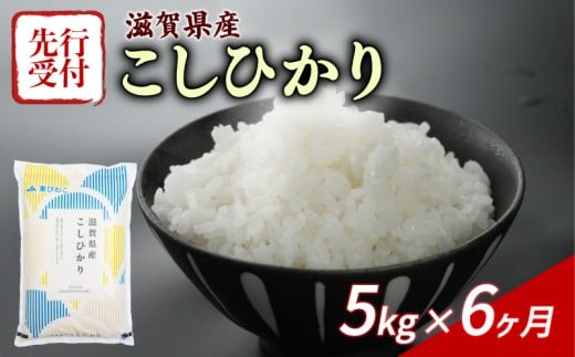 【令和7年産先行受付】 こしひかり 5kg 6回定期便 令和7年産 定期便 新米 米 精米 こめ コメ お米 ご飯 米 コシヒカリ 先行受付 米定期便 6か月定期便 6ヶ月定期便 6回 6ヶ月 6か月 滋賀 彦根