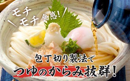 包丁切りさぬきうどん半生10袋入（つゆ付）_mk041-007